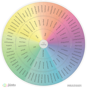 feeling wheel.jpeg