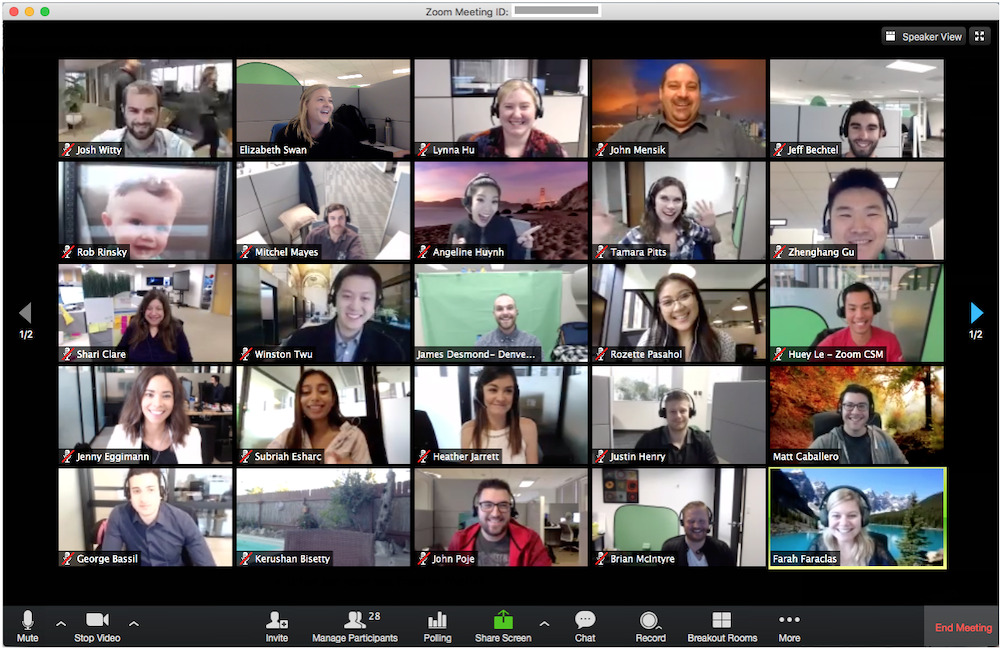 Screenshot of a Zoom meeting.